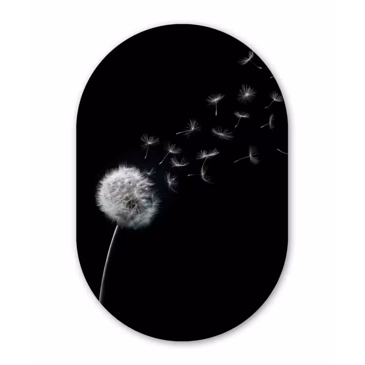 Paardenbloem - Zwart - Natuur Wandcirkel Ovaal Aluminium middel -3d
