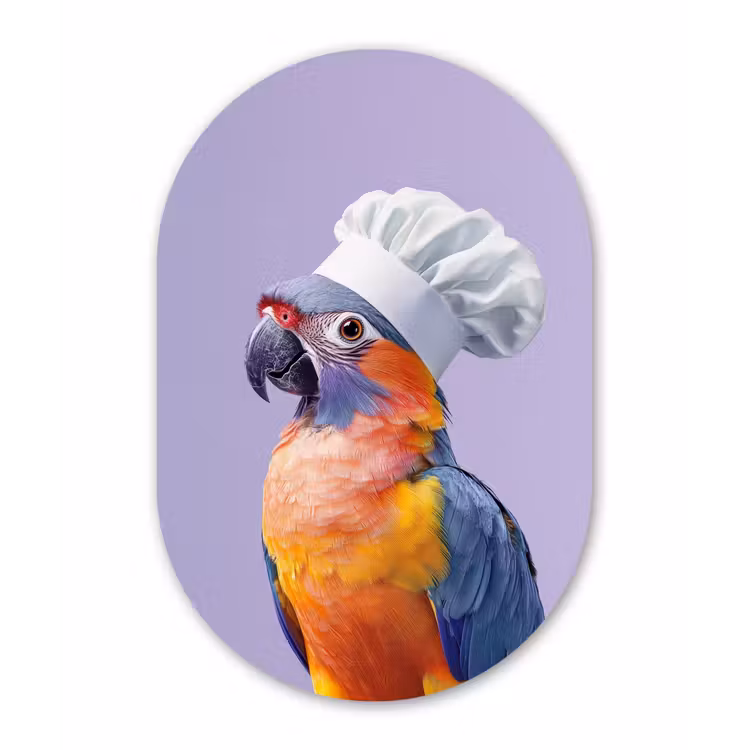 Papegaai - Koksmuts - Paars - Cute Wandcirkel Ovaal Aluminium middel -3d