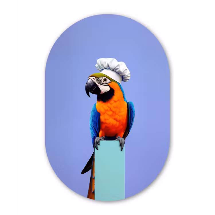 Papegaai - Koksmuts - Vogel - Leuk Wandcirkel Ovaal Aluminium middel -3d