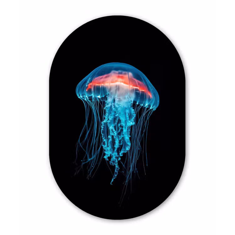 Kwal - Tentakels - Blauw - Licht Wandcirkel Ovaal Aluminium middel -3d
