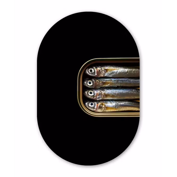 Sardines - Blik - Zwart - Vissen Wandcirkel Ovaal Aluminium middel -3d