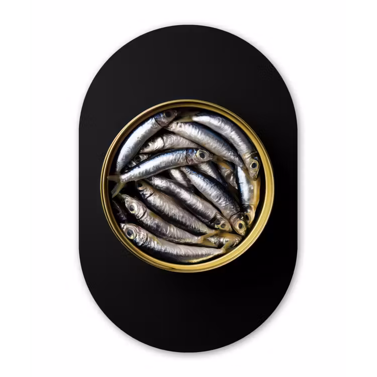 Sardines - Vissen - Rond - Zwart Wandcirkel Ovaal Aluminium middel -3d