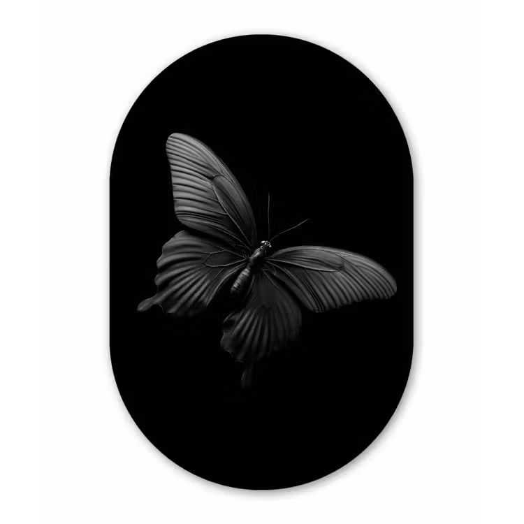 Vlinder - Zwart - Insect - Dieren Wandcirkel Ovaal Aluminium middel -3d