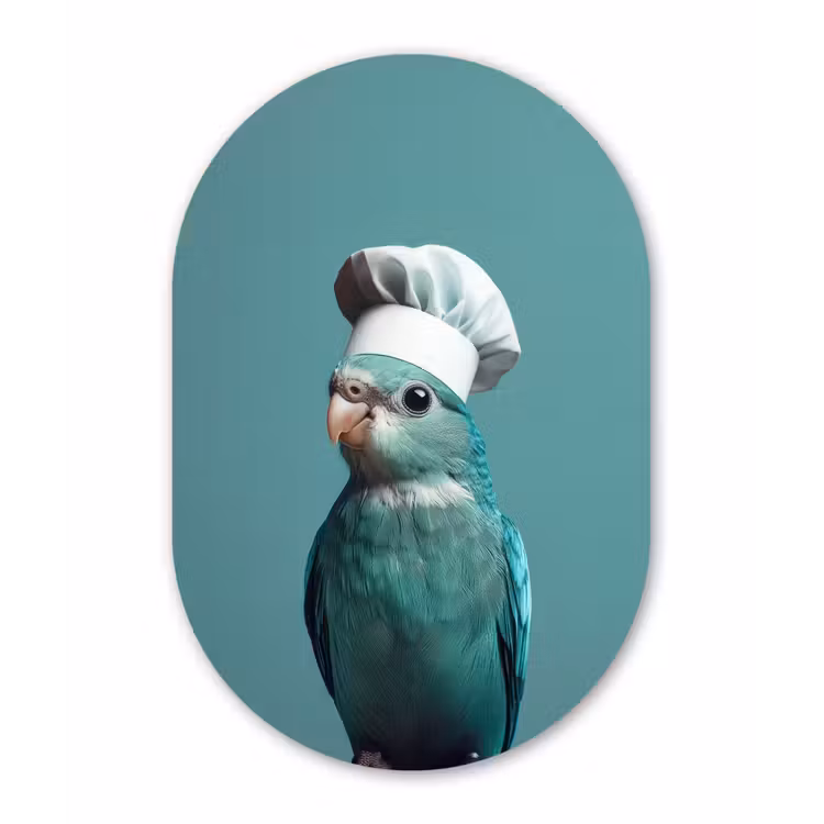 Parkiet - Vogel - Koksmuts - Cute Wandcirkel Ovaal Aluminium middel -3d