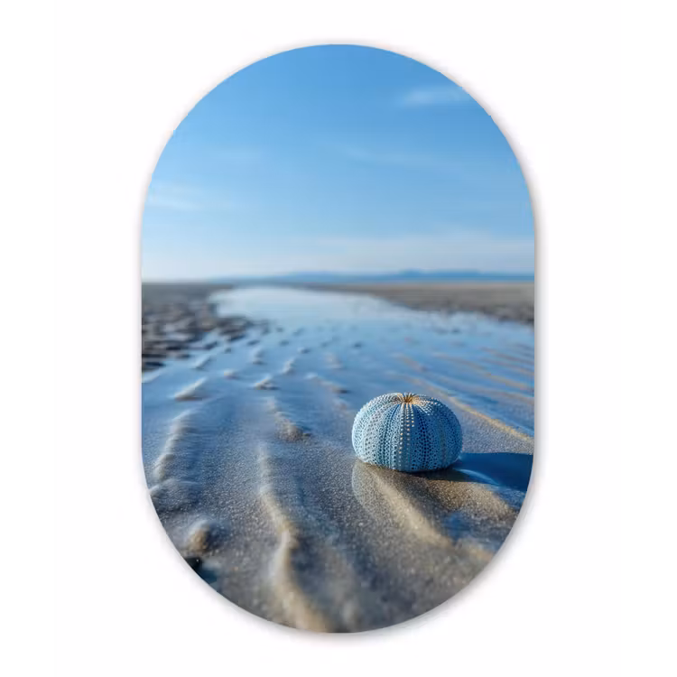 Strand - Schild - Water - Blauw Wandcirkel Ovaal Aluminium middel -3d