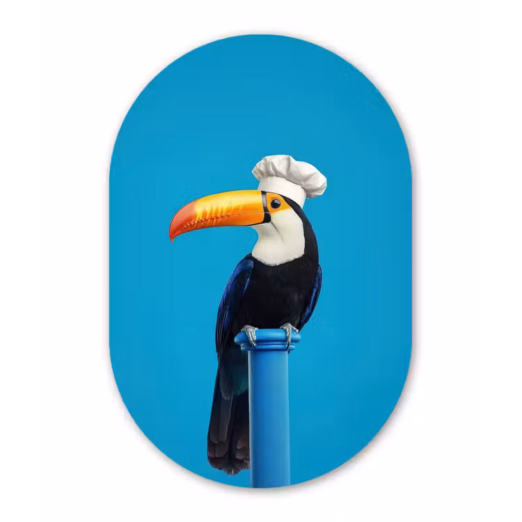 Tucan - Sokkel - Vogel - Koksmuts Wandcirkel Ovaal Aluminium middel -3d