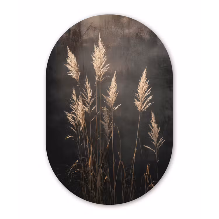 Siergras - Pluimen - Verlichting - Zwart Wandcirkel Ovaal Aluminium middel -3d