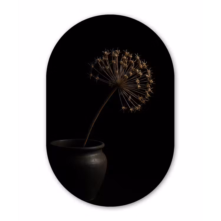 Bol - Gedroogd - Vaas - Zwart Wandcirkel Ovaal Aluminium middel -3d