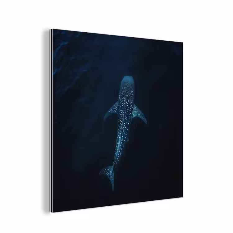 Oceaan - Walvishaai - Donkerblauw - Vlekken aluminium wit klein -3d