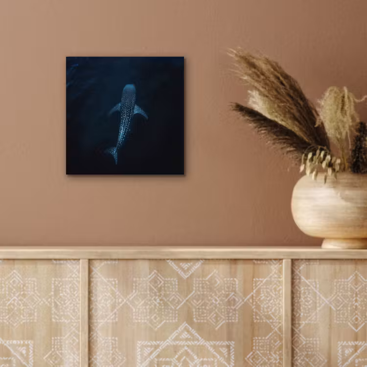 Oceaan - Walvishaai - Donkerblauw - Vlekken aluminium wit klein -sfeer4