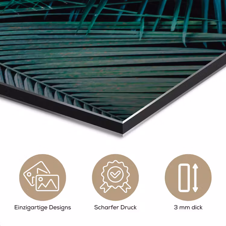 Palmblad - Tropisch - Natuur - Jungle aluminium wit klein -closeup_DE