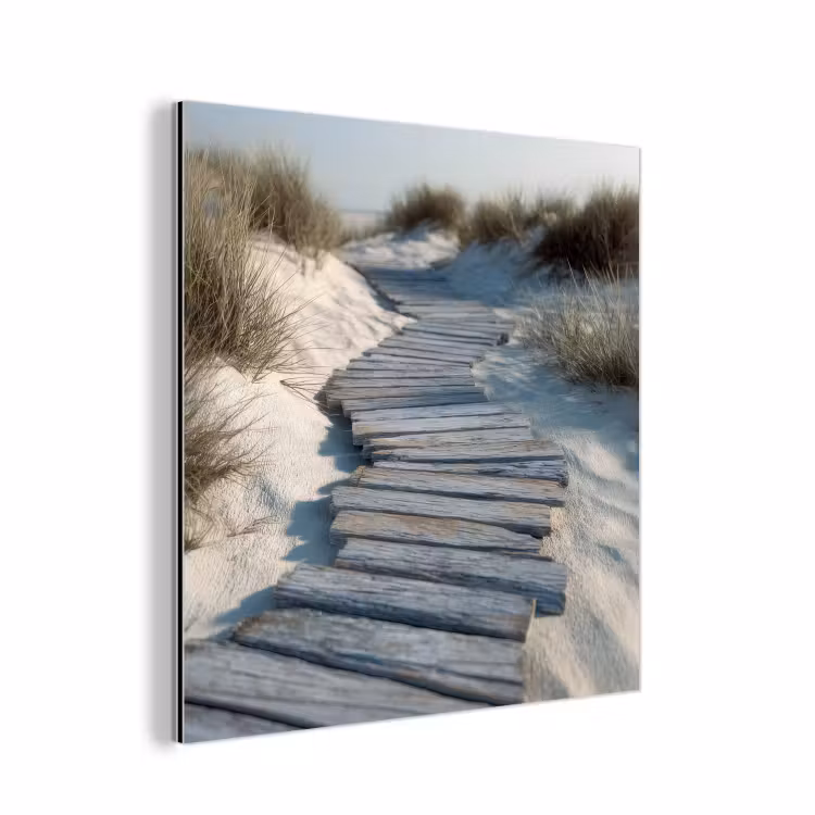 Pad - Planken - Duinen - Gras aluminium wit klein -3d