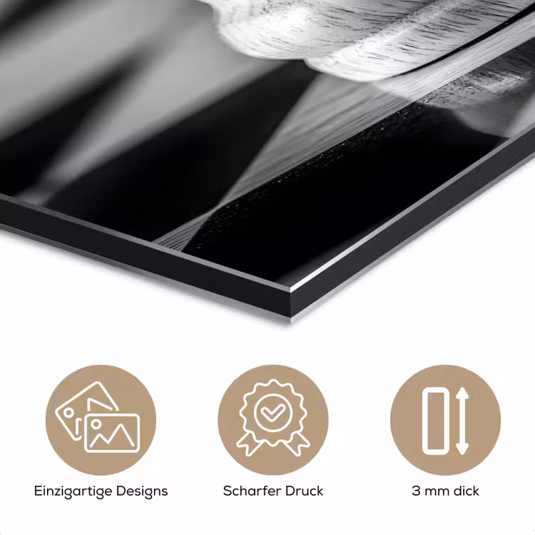 Paard - Hout - Schaalbord - Zwart aluminium wit klein -closeup_DE