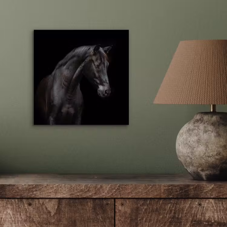 Paard - Dieren - Zwart - Portret aluminium wit klein -sfeer2