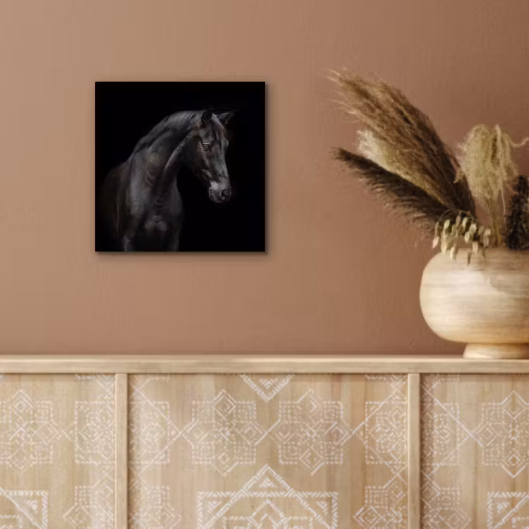 Paard - Dieren - Zwart - Portret aluminium wit klein -sfeer4