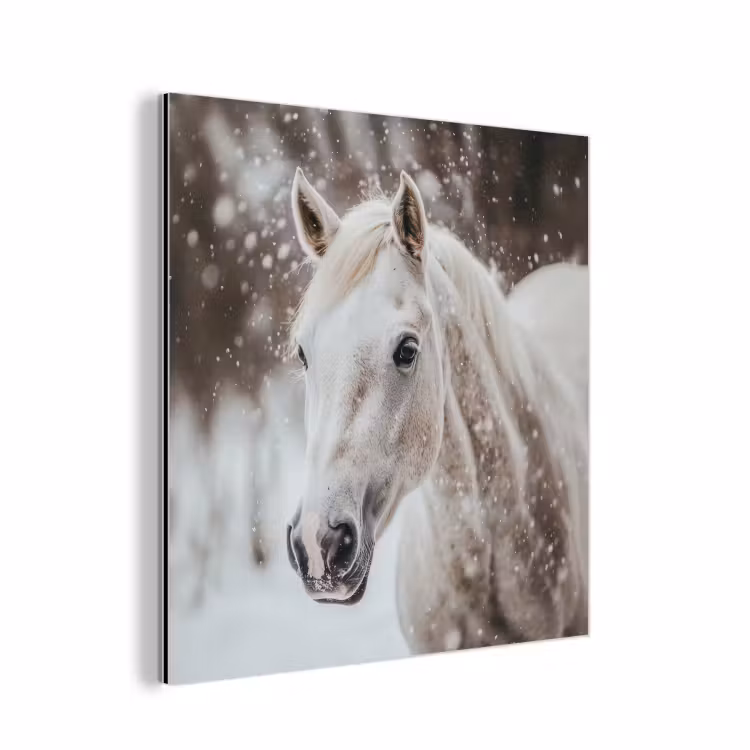 Paard - Wit - Winter - Natuur - Sneeuw - Dieren aluminium wit klein -3d