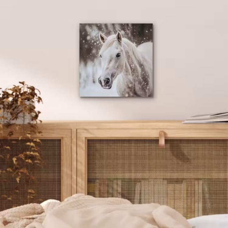 Paard - Wit - Winter - Natuur - Sneeuw - Dieren aluminium wit klein -sfeer3