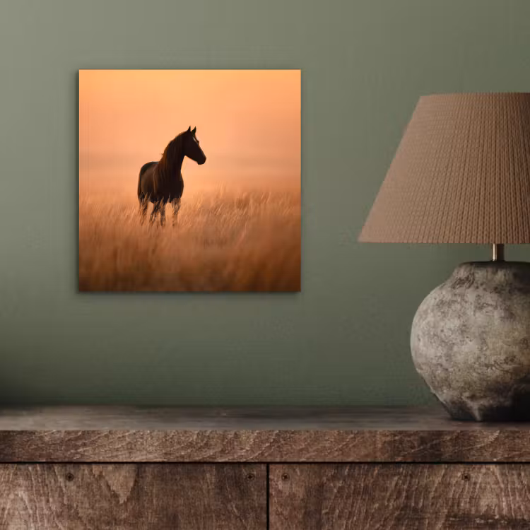 Paard - Grasveld - Zonsondergang aluminium wit klein -sfeer2