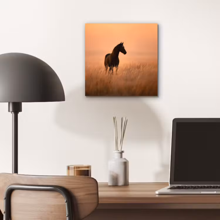 Paard - Grasveld - Zonsondergang aluminium wit klein -sfeer5