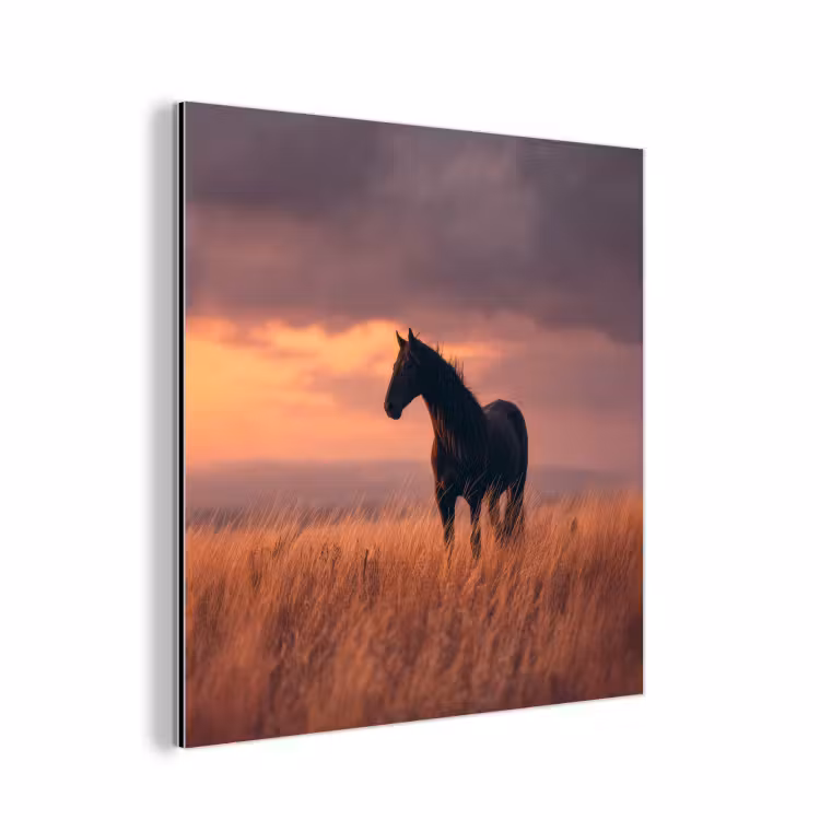 Paard - Wolken - Open veld aluminium wit klein -3d
