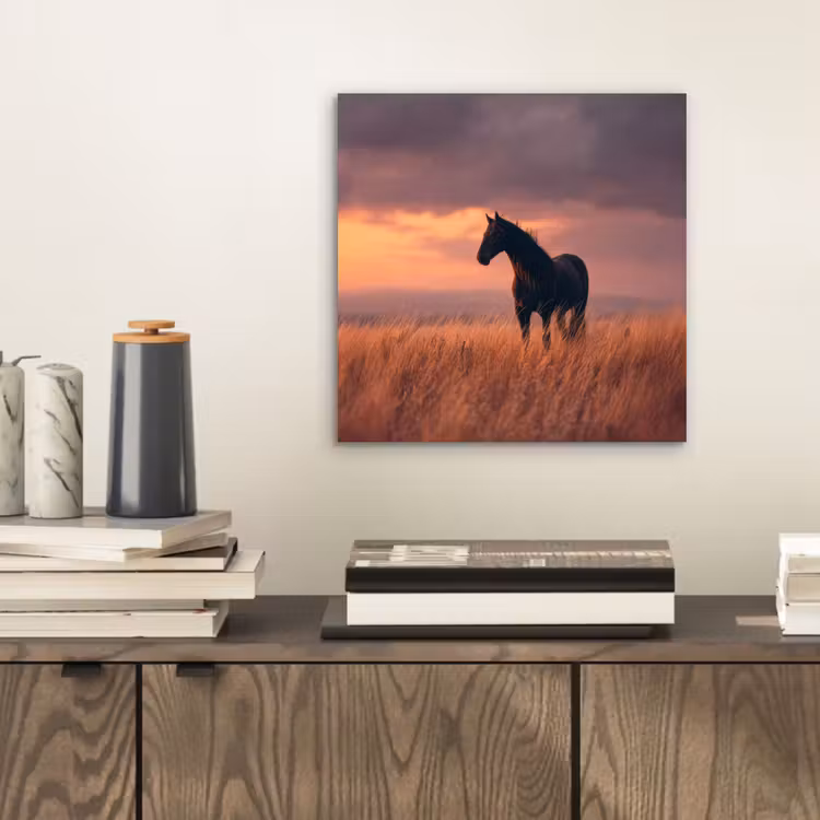Paard - Wolken - Open veld aluminium wit klein -sfeer1