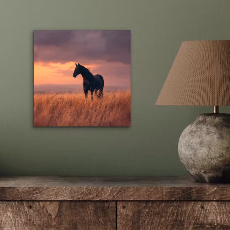 Paard - Wolken - Open veld aluminium wit klein -sfeer2