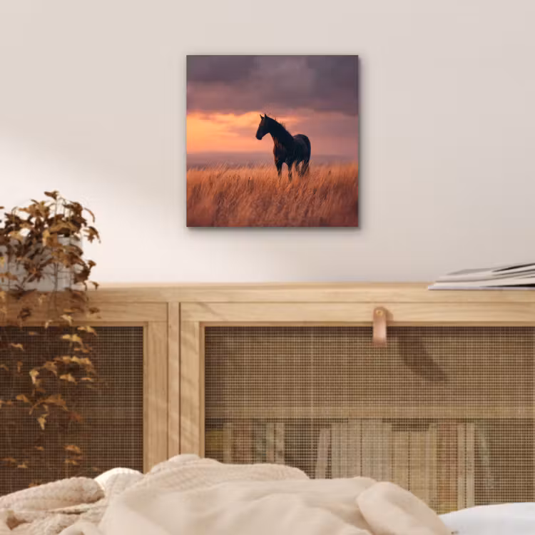 Paard - Wolken - Open veld aluminium wit klein -sfeer3