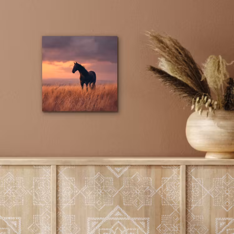 Paard - Wolken - Open veld aluminium wit klein -sfeer4