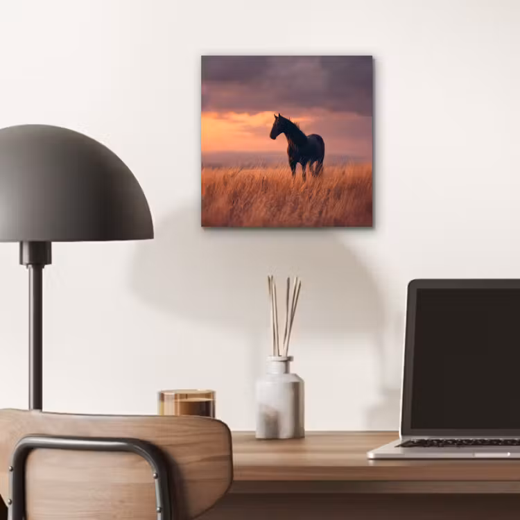 Paard - Wolken - Open veld aluminium wit klein -sfeer5