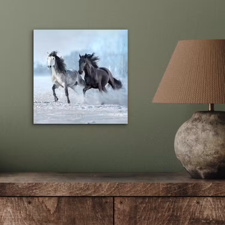 Paarden - Winter - Dieren - Natuur - Sneeuw aluminium wit klein -sfeer2