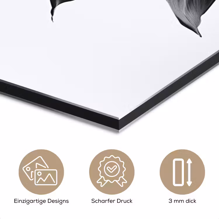 Plant - Bladeren - Minimalistisch - Zwart aluminium wit klein -closeup_DE
