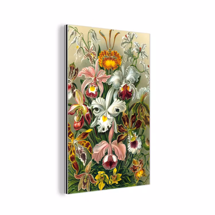 Planten - Natuur - Bloemen - Ernst Haeckel aluminium wit klein -3d