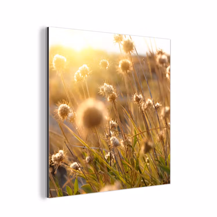 Planten - Natuur - Bloemen - Zon - Horizon aluminium wit klein -3d