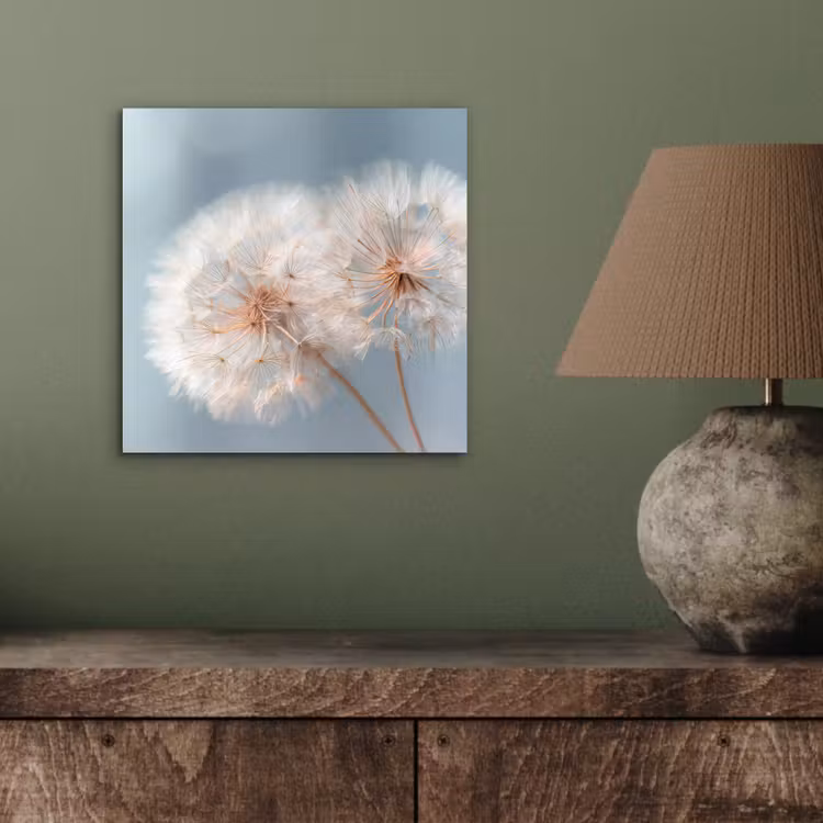 Paardenbloemen - Pluisjes - Wit aluminium wit klein -sfeer2