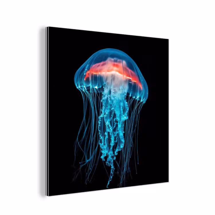 Kwal - Tentakels - Blauw - Licht aluminium wit klein -3d