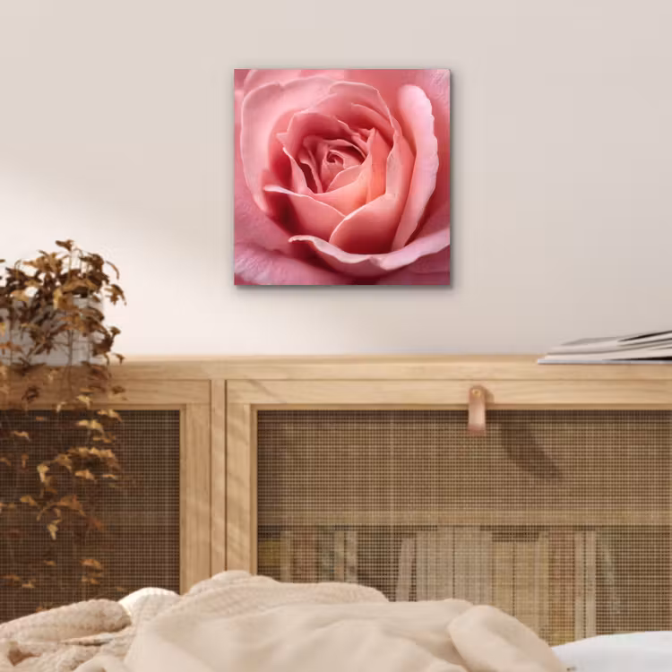 Roze - Roos - Romantisch aluminium wit klein -sfeer3