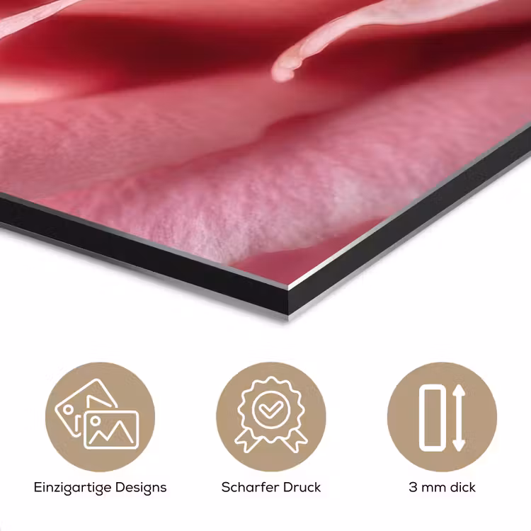 Roze - Roos - Romantisch aluminium wit klein -closeup_DE
