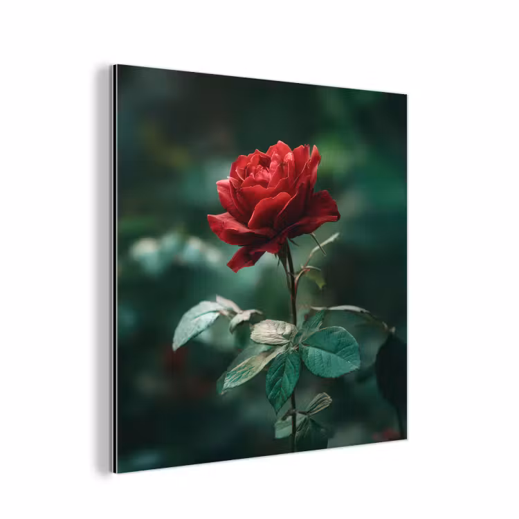 Roos - Bladeren - Dieprood aluminium wit klein -3d