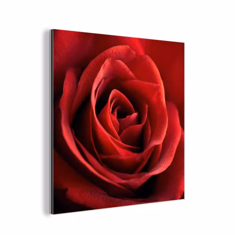 Rood - Roos - Romantisch aluminium wit klein -3d
