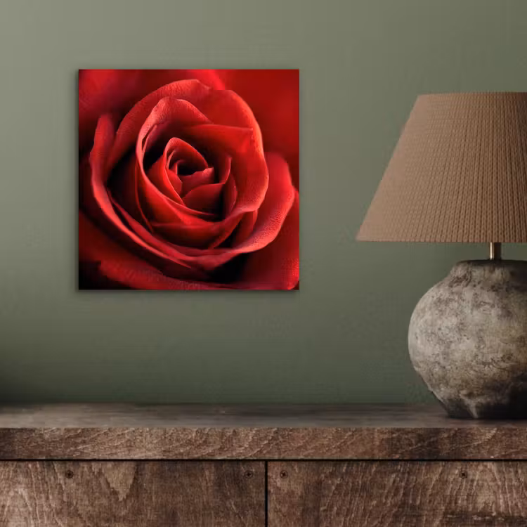 Rood - Roos - Romantisch aluminium wit klein -sfeer2
