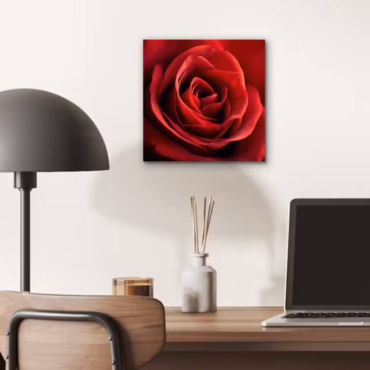 Rood - Roos - Romantisch aluminium wit klein -sfeer5