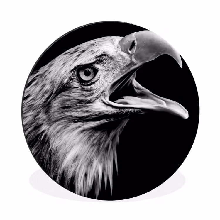Adelaar - Portret - Roofvogels - Zwart - Wit - Vogel Wandcirkel aluminium klein -3d