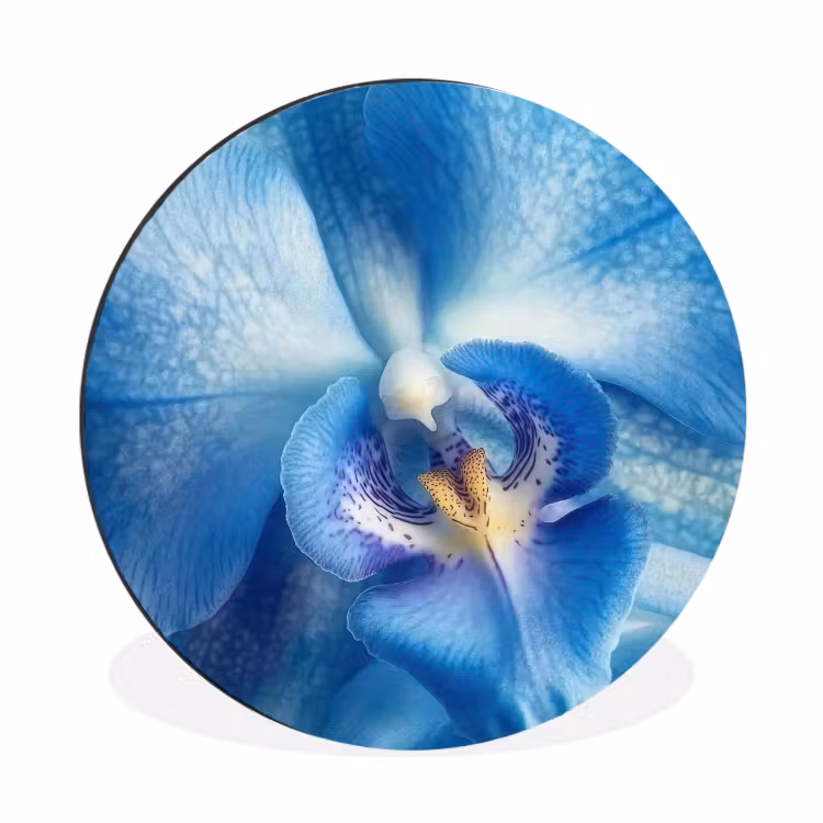 Blauw - Orchidee - Elegeant Wandcirkel aluminium klein -3d