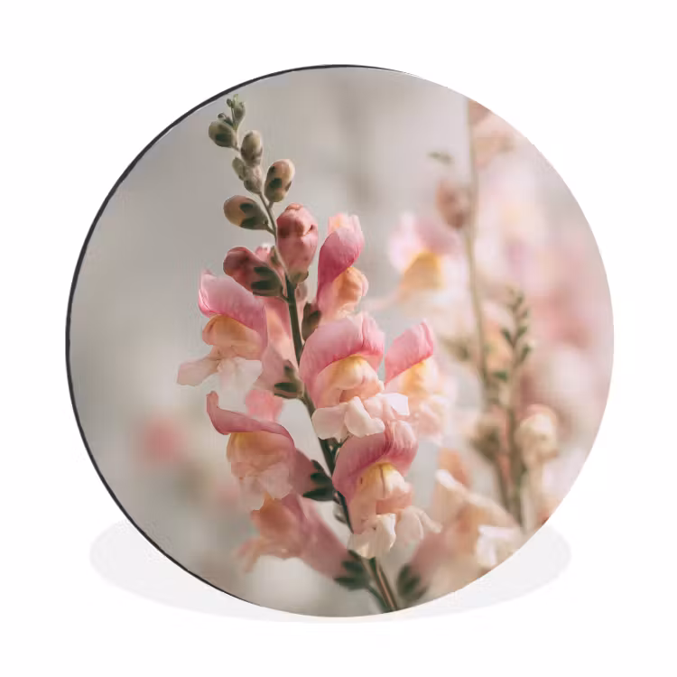 Bloem - Leeuwenbek - Roze - Stengel Wandcirkel aluminium klein -3d