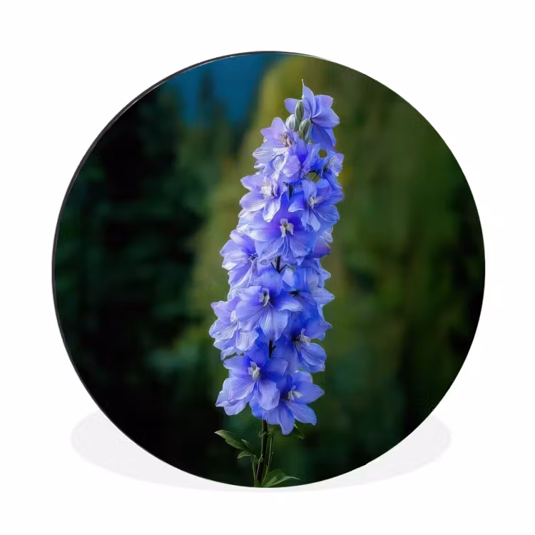 Bloemen - Blauw - Dennenboom Wandcirkel aluminium klein -3d