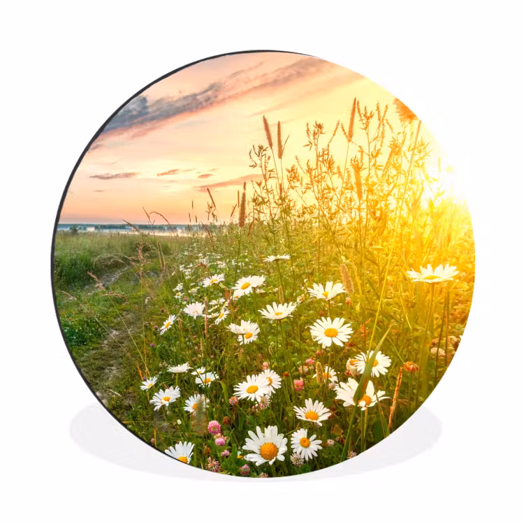 Bloemen - Madelief - Natuur - Zon - Horizon Wandcirkel aluminium klein -3d