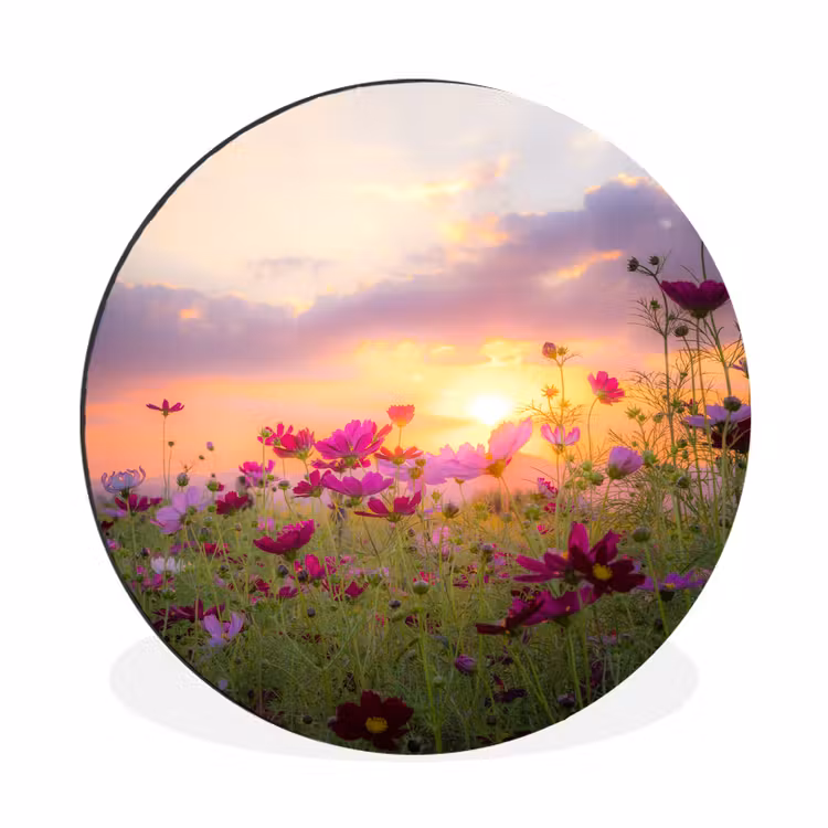 Bloemen - Roze - Zonsondergang Wandcirkel aluminium klein -3d