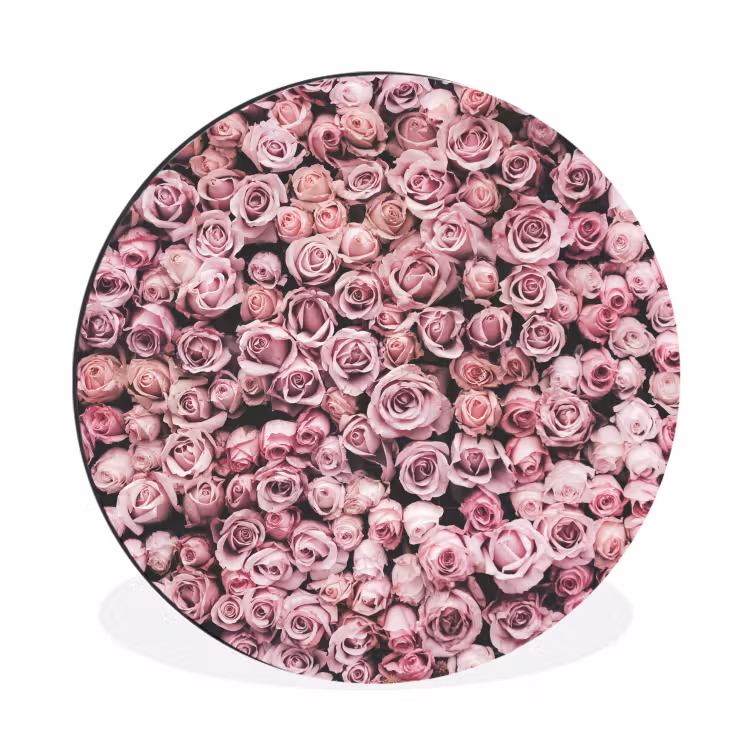 Bloemen - Rozen - Natuur - Roze - Botanisch Wandcirkel aluminium klein -3d