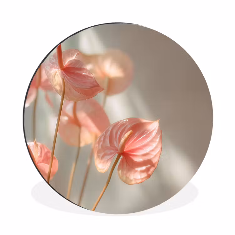 Bloemen - Stelen - Roze - Schaduw Wandcirkel aluminium klein -3d