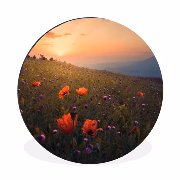 Bloemenveld - Gras - Bloemen - Planten - Zonsondergang - Oranje Wandcirkel aluminium klein -3d